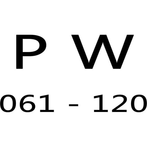 NEW Jewelry Men Women Pan Watch Original Fashion Man Watch Original Jewelry Gift CHARM BEAD Free Delivery PW 061 - 120