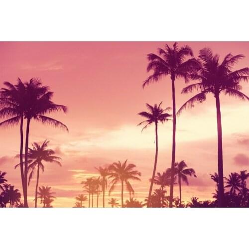 Vintage Art Skyline PALM Photo Art Film Print Silk Poster for Your Home Wall Decor 24x36inch