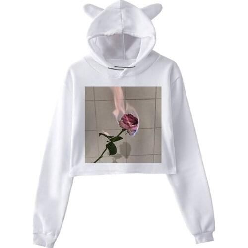 Rose Printed Hoodies Sweatshirts Women Crop Tops Long Sleeve Casual Autumn Winter Pullovers Street Loose Plus Size Sweatshirts