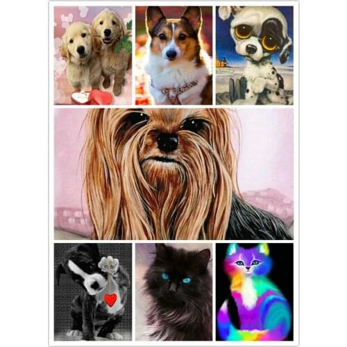 New Full square drill 5d diy diamond painting cute dog for home decoration 3d diamond embroidery pet picture diamond mosaic gift