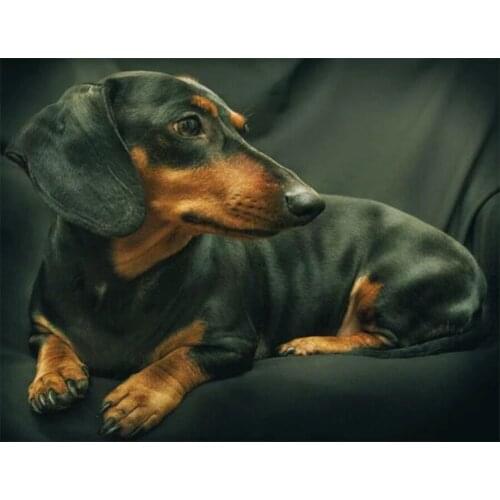 5d diamond painting kits Dachshund rhinestones full square drill Diy diamond mosaic embroidery animal cute Dog cross stitch P783