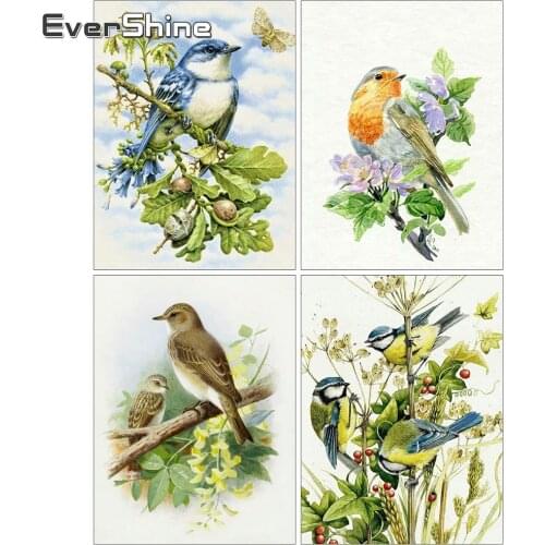 EverShine Diamond Painting 5D DIY Bird Diamond Embroidery Full Square Animal Rhinestones Mosaic Cross Stitch Handmade Gift
