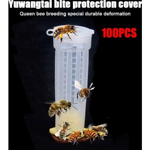 100Pcs Beekeeping Tools Fertility King Pedestal Guard Longwall Shield Queen Cage Protection Cover