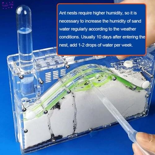 New 19.6*13.3*2.9cm DIY moisture with feeding area ant nest ,ant farm acryl, insect ant nests villa pet mania for house ants