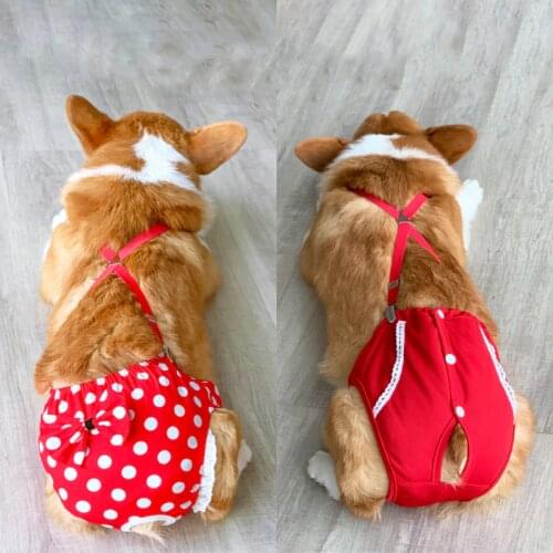 Pet Physiological Pants Female Dog Sanitary Panties Shorts Underwear Sanitary Diaper Washable Corgi French Bulldog Terrier Pugs