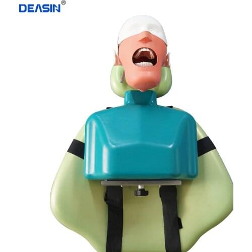 Dental Head model with shoulder Simulators Hygiene Manikin Teeth model Dental Training Manikin Phantom Head with Torso