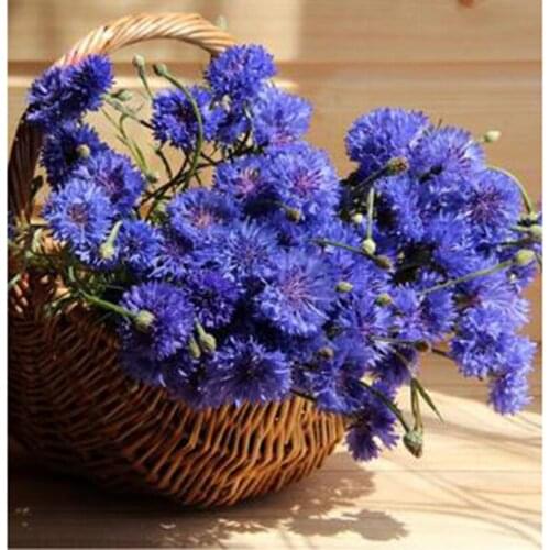 5D DIY Diamond Painting Flower Picture Bamboo Basket Purple Flower Scenery Picture Square/Round Diamond Cross Stitch Art WG3080