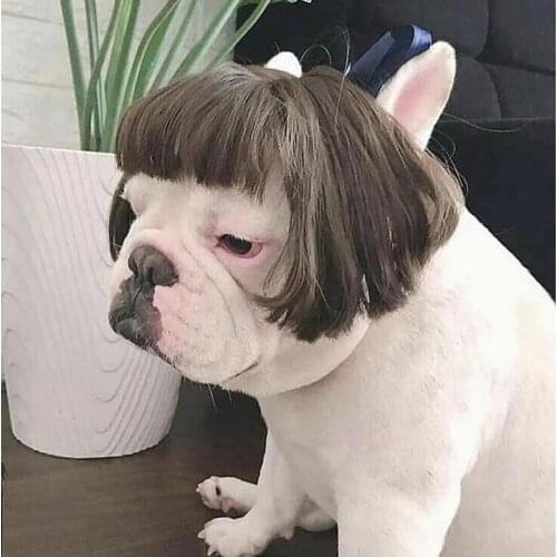 1PC Creative Pet Wigs Cosplay Props Wigs Tiara Hairpiece Funny Pet Small Dog Cat Costume Pets Supplies