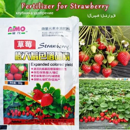 Special Strawberry Fertilizer Supplemental Plant Nutrition Hydroponics Expanded Fruit Rapid Rooting For Home Garden Bonsai
