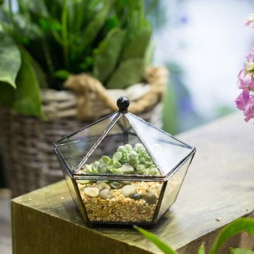 NCYP Modern Glass Flower Pot Desktop Indoor Outdoor Glass Terrarium Bonsai Planter Garden for Home Office Decor Container
