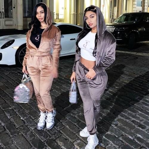 Winter Colthes Women Velour Tracksuit Casual Sportswear Fitness Zipper Hooded Top + Sweatpant Velvet Two Piece Set Jogging Femme
