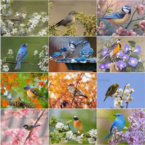 Diy Diamond Painting Flower Bird Landscape Full Drill Embroidery Cross Stitch Mosaic Rhinestones Handicraft Home Decoration Gift