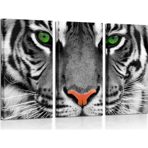 3 Pieces Canvas Prints Wall Art Green Eyed Tiger Poster Animal Pictures Painting for Office Home Decorations