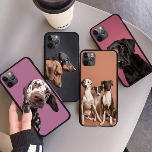 Cute Dachshund dog Phone Case for iPhone 11 12 pro XS MAX 8 7 6 6S Plus X 5S SE 2020 XR mini