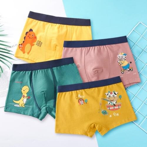 RANMO Underwear For Boys