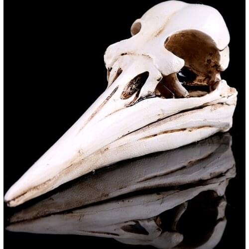 Fantasy Life Fun Dinosaur Bird Animal Skull Study of Resin Skull Resin Crafts Home Decorations Ideas Ornaments Bar Decorations
