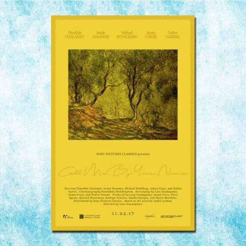 Call Me By Your Name TV Series Art Silk Poster Canvas Retro Print For Home Room Decor Decoration-004