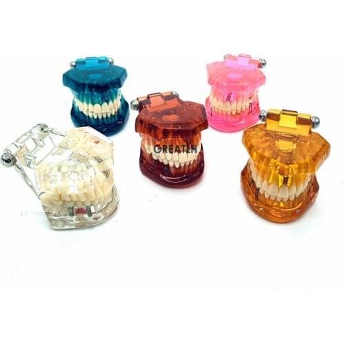 Removable implant restoration model Pathological Teeth Model Teaching Dental Disease Teeth Implantation Model