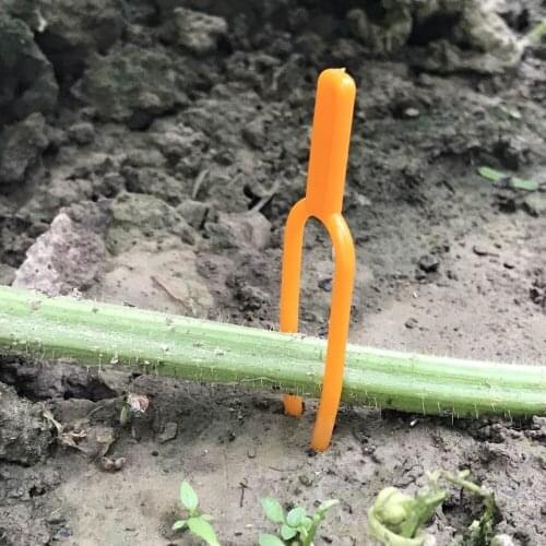 100 Pcs Plastic Stolons Fixing Fastening Fixture Clips Fixed Fork Agriculture Greenhouse Garden Vine Plants Planting Tools