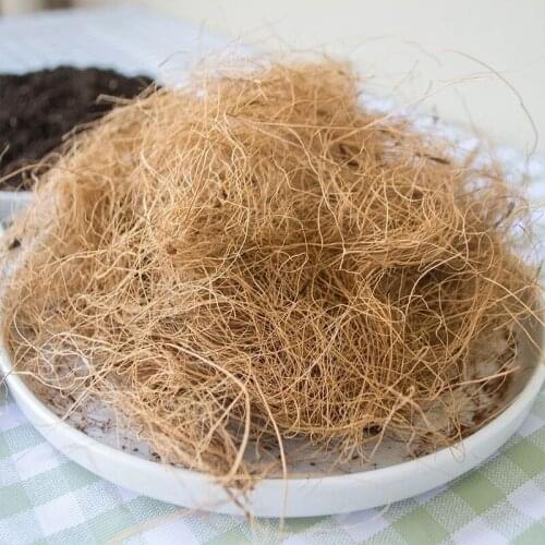 Coconut Husk Fiber Orchids Crafts Pet Bedding Insect-proof Protect Plants Maintain Soil Temperature SCVD889