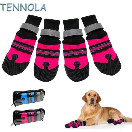 TENNOLA Shoes For Dogs