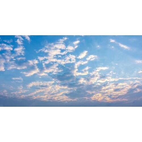 Sunrise Clouds Backgrounds polyester or Vinyl cloth High quality Computer print wall backdrop