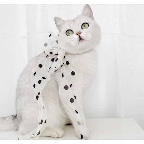 Pet Lace Polka Dot Bowknot Adjustable Safety Buckle Cat Collar Muppet Cat Fairy Necklace Birthday Accessories