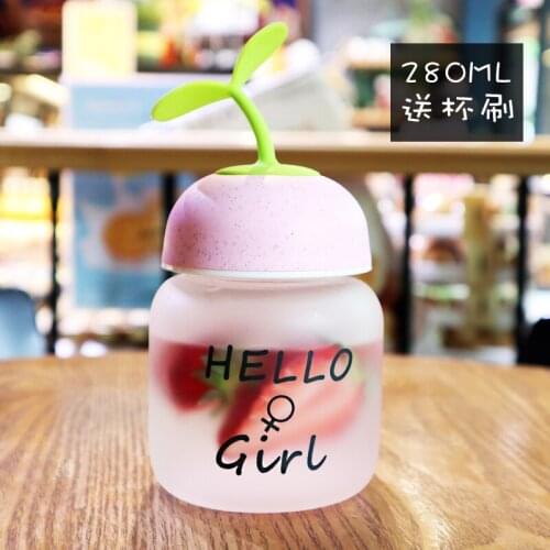 Mini Korean Cute Cup Creative Girl Frosted Cup Portable Simple Botella Acero Inoxidable Student Milk Water Cup 280ML EA60SH