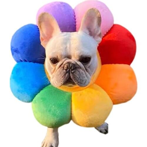 H55E Pet Adjustable Recovery Collar Elizabethan Circle Protective Pet Cone Protective