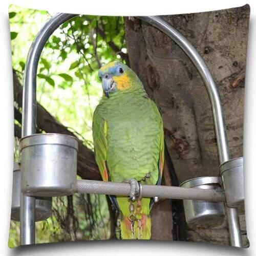 A green parrot in the cage 2D print creative Pillow case Square cotton polyester cushion cover 5 size 9 style