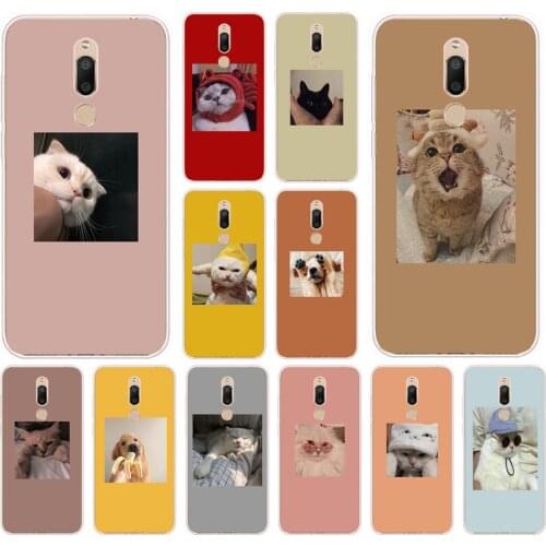 18AS Cute cat Soft Silicone Back Cover Case for Meizu M6 M6S M6T Note Pro 7 Plus C9 Pro cover funda