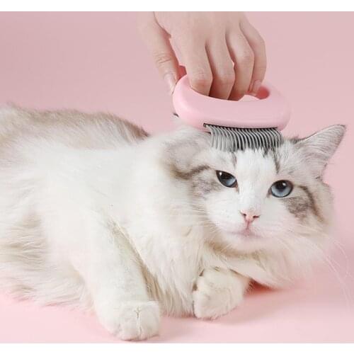 Pink/Blue/Green Pet Cat Pets Massage Brush Shell Shaped Handle Pet Grooming Massage Tool To Remove Loose Hairs Only For Cats New