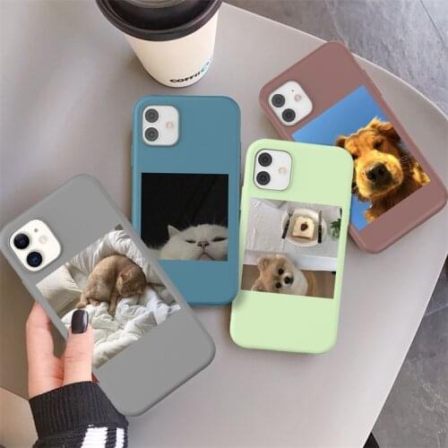 For iPhone 12 Pro 11 Pro Max XS Max XR X 7 8 Plus SE 2020 12 Mini Cute Funny Animal Pattern Painted Soft Shockproof Phone Case