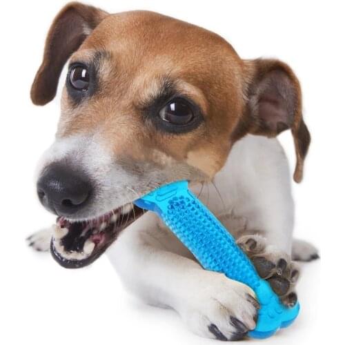 Pet Dog Chew Toys Rubber Bone Toy Pet Molar Tooth Cleaner Stick Dog Toothbrush Puppy Dental Care For Pet Accessories