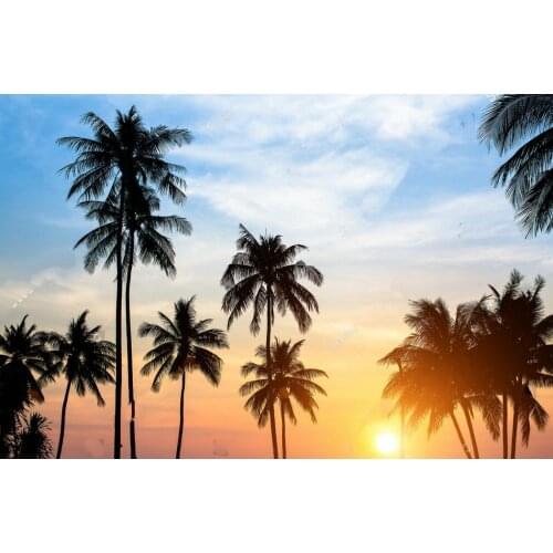 Silhouettes palm trees against sky during tropical sunset backdrops Vinyl cloth High quality Computer print party background