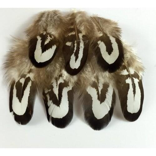 Wholesale 50 PCS Natural Pheasant Feathers 5-8CM High Quality DIY Jewelry Making Accessories Cheap Plumes Wedding Decorations