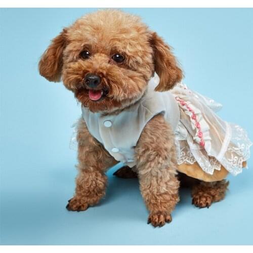 Pet Dog Wedding Dress with Ruffles Rose Decoration Puppy Floral Embroidery Lace Dresses for Summer XS/S/M/L/XL/XXL