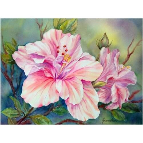 Counted Cross Stitch Kits Needlework Embrodery - Crafts 14 ct Aida Color DIY Arts Handmade Home Decor - Double Hibiscus