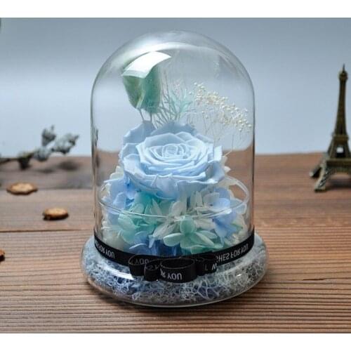 Free Shipping 12*15cm Diameter=12cm Glass Base Glass Dome Vase Home Decoration Glass Cover Vase Friend Gift Wedding Decoration