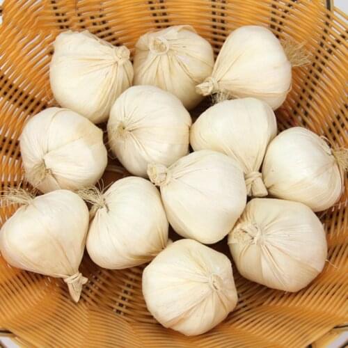 Lifelike Artificial Fake Garlic Vegetables Model Party Home Kitchen Decor Kids Props Toy
