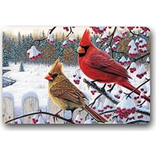 Funny Red Cardinal Bird Art Cute Birds Design Top Custom Doormat Indoor/Outdoor Floor Mat Kitchen Decor Rugs 18 X 30 Inches