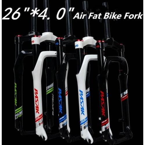 Rt Bicycle Forks