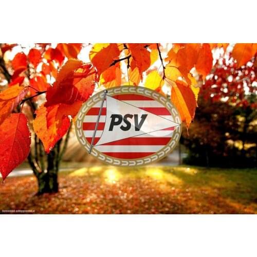 Needlework diamond painting full drill canvas resin Football badge PSV spuare diamond painting cross stitch crystal diamond sets