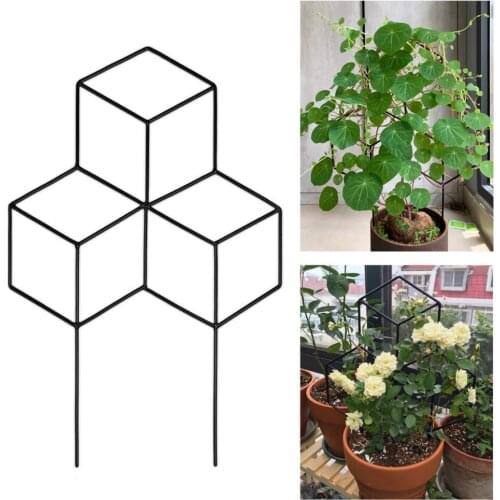 Garden Frame Plant Support For Climbing Plants Black Iron Metal Flower Stand