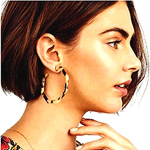 Exaggerated Large Version Acetate Plate Personality Leopard Polygon Resin Hoop Earrings Fashion