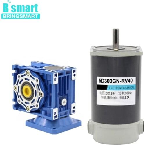 Bringsmart RV40 DC speed reduction turbine motor 12/24V300W adjustable speed DC motor