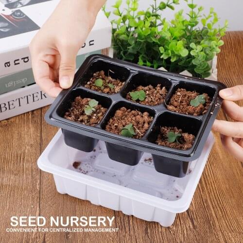 Starter Kit Germination Box Transparent Nursery Plastic Material Flexible And Adjustable Design Family Seed Germination Tray Kit