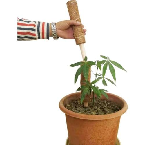 35x5cm Flower Plant Vine Grow Climbing Support Pole Gardening Coir Palm Stick