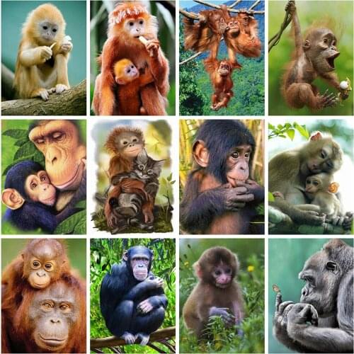 5d Diamond Embroidery Sale Animals Full Square/Round Drill Mosaic Diamond Painting Monkey Cross Stitch Kit Home Decoration