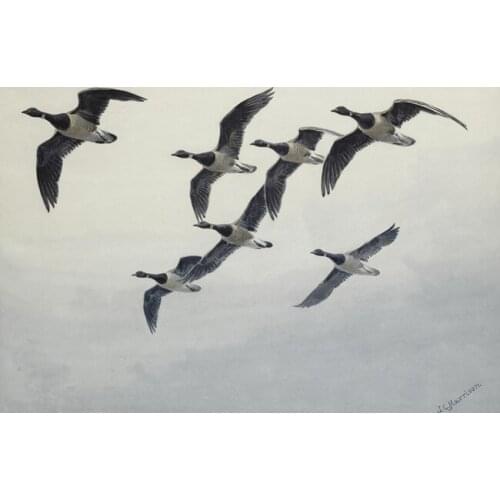 Watercolor pastoral migratory birds fly sky scenery oil painting canvas printings printed on canvas wall art decoration picture